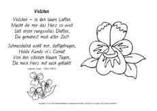 Veilchen-Seidel-ausmalen.pdf